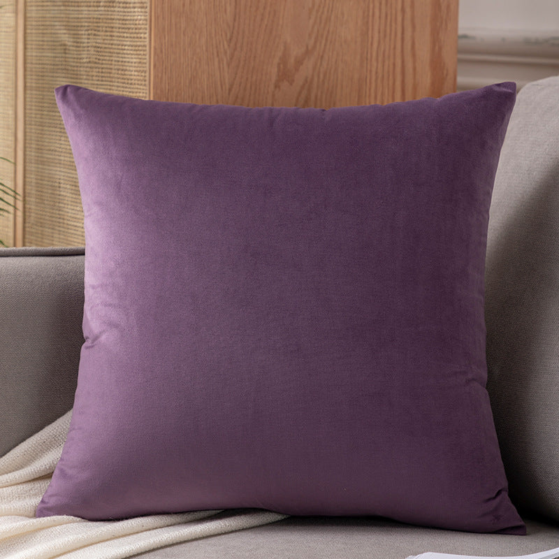 Pluche Velvet Decoratieve Kussen