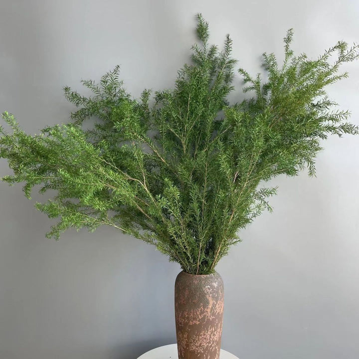Premium Gedroogde Bloemstelen