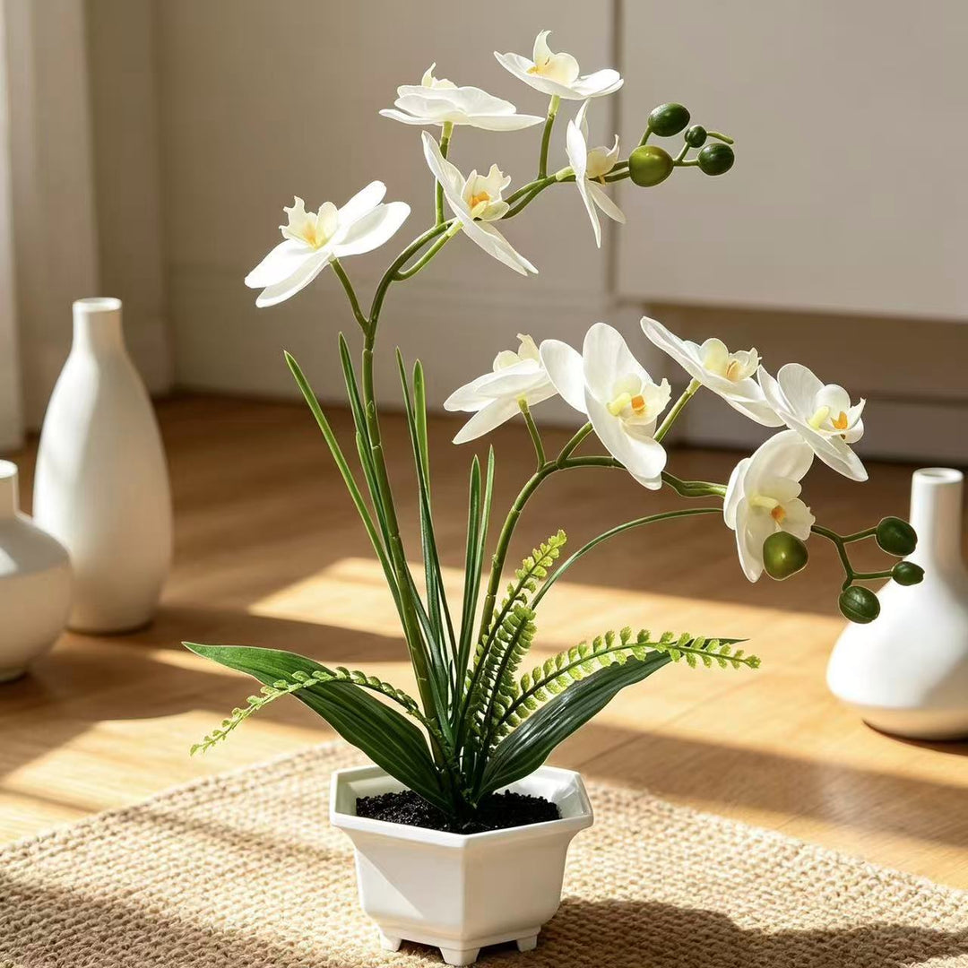 Home Decoratieve Kunstmatige Orchidee voor Thuisdecoratie en Tentoonstelling