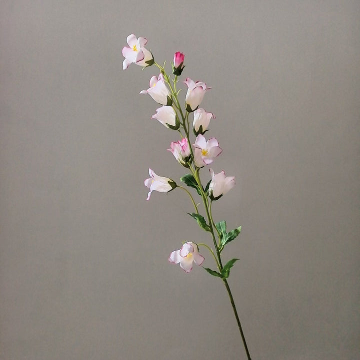 Levensechte Bloemige Orchidee Steel