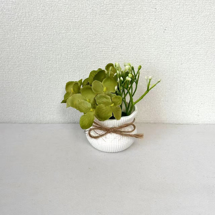 Levensecht Potplant Arrangement