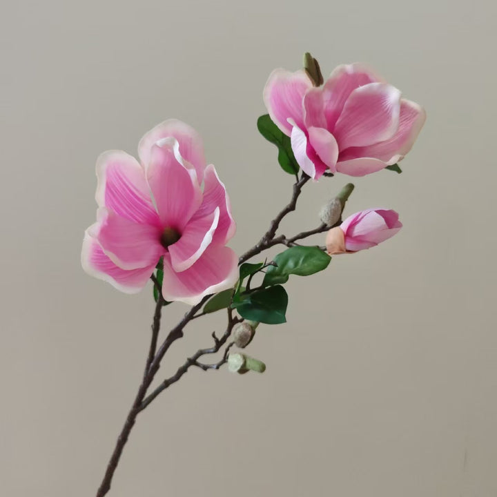 Realistische Magnolia Bloesem Steel