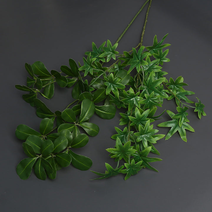 Decoratieve Groene Klimplant voor Binnenhuisdecoratie