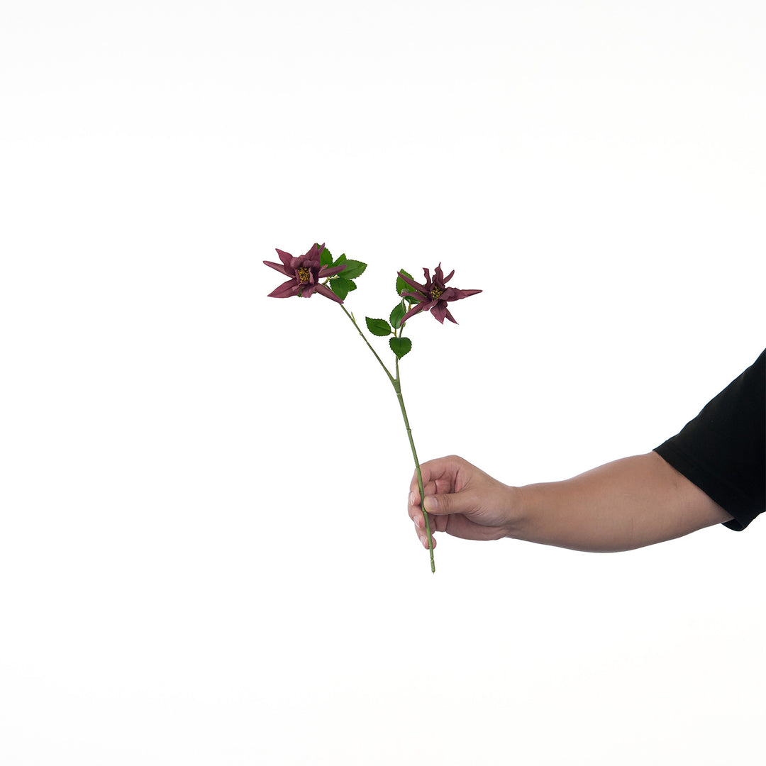 Levendige Multi-Bloom Bloemstengel