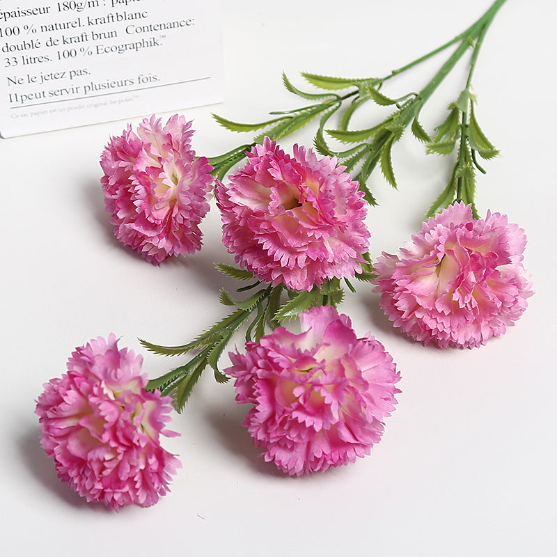 Realistische Bloemen Anjers Boeket