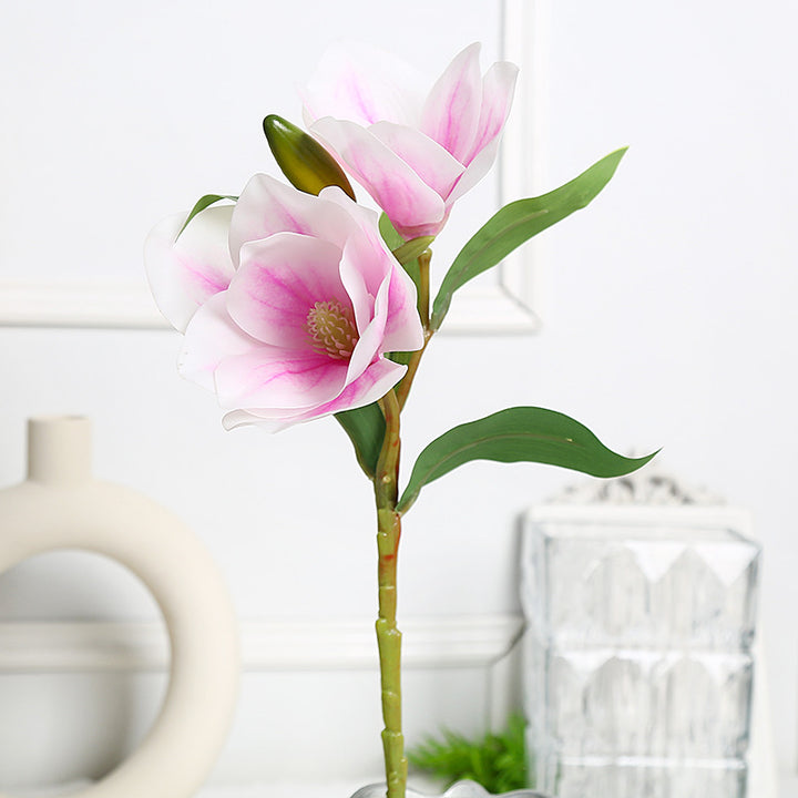 Elegant Magnolia Bloemarrangement voor Huisdecoratie