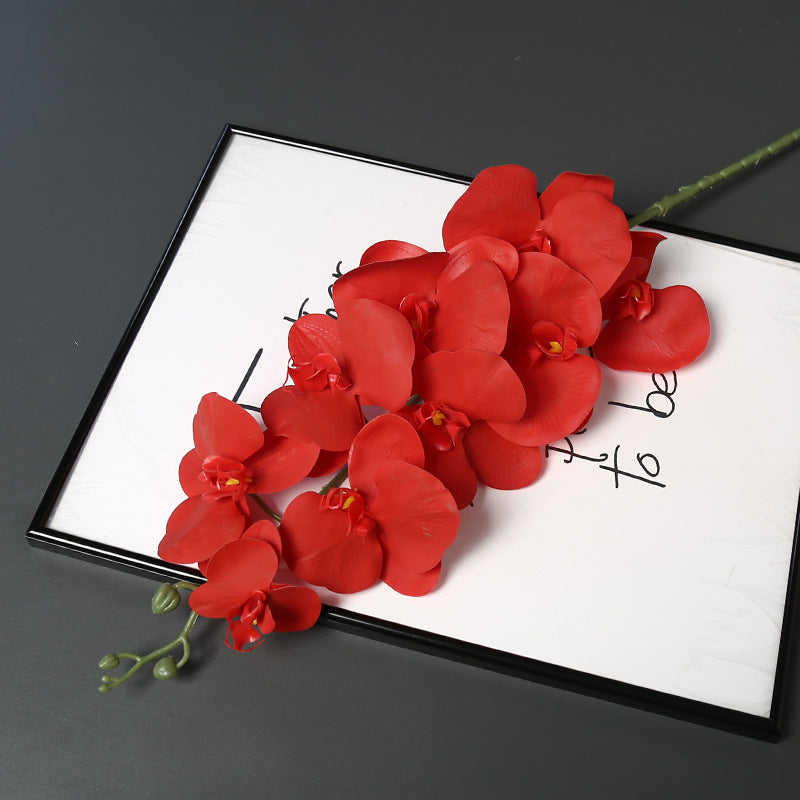 Nepatuur Orchidee Bloemsteel voor Woondecoratie Display