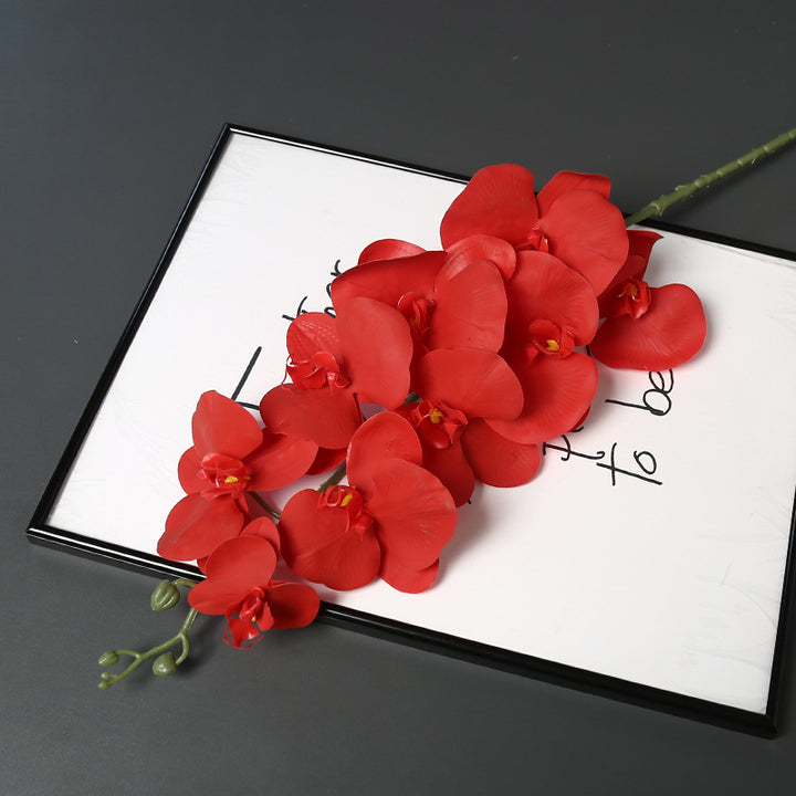 Nepatuur Orchidee Bloemsteel voor Woondecoratie Display