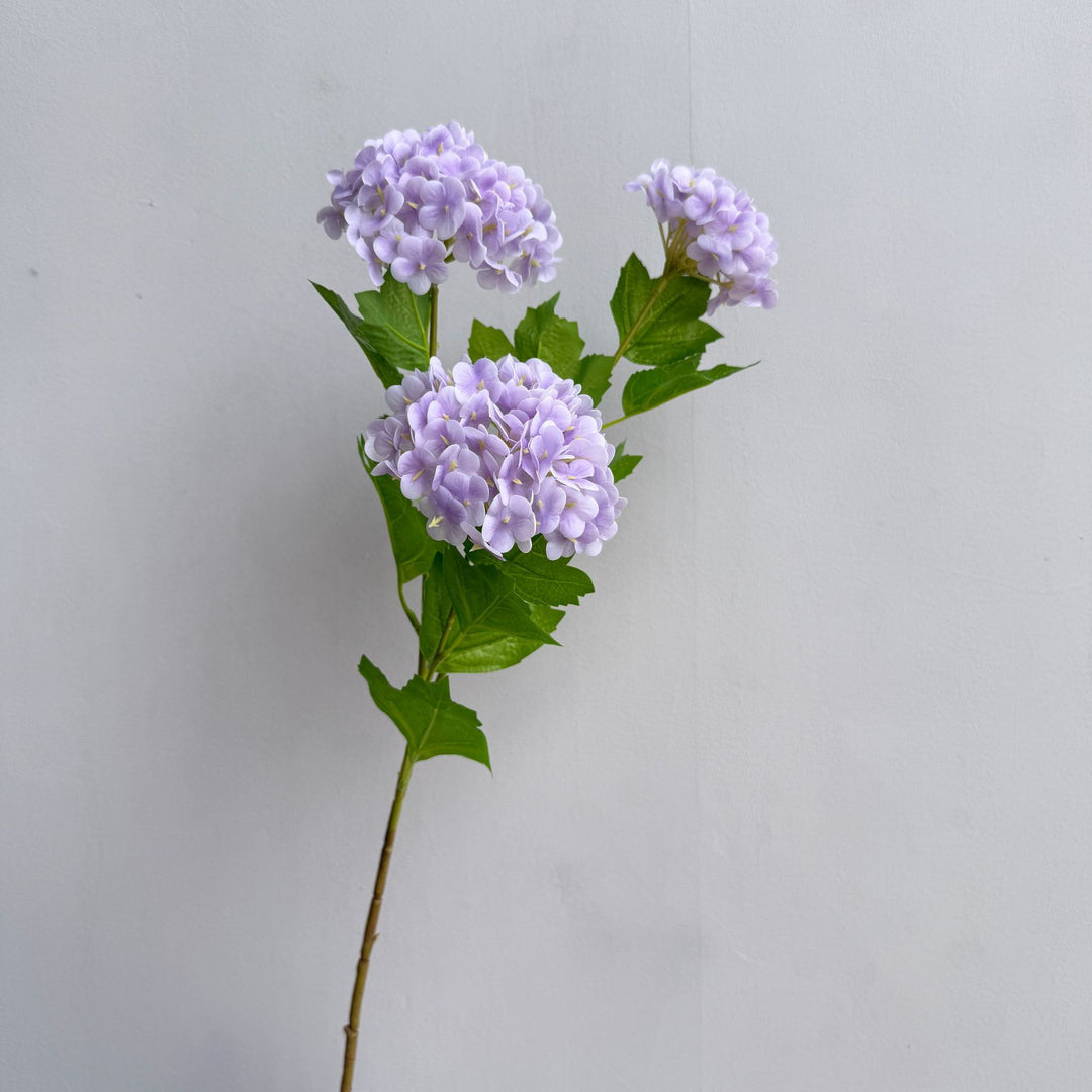 Decoratieve Hortensia Steel