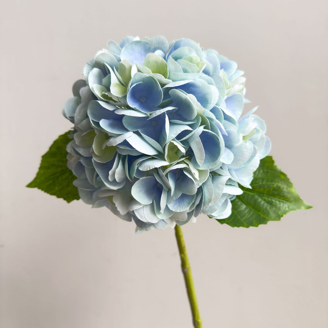 Levensechte Hortensia Steel