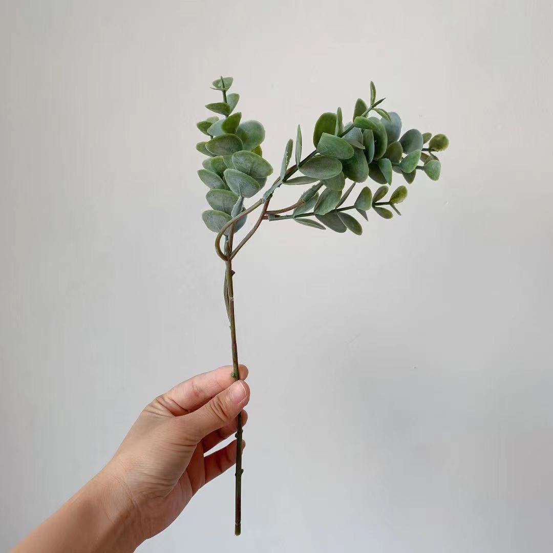 Eucalyptus Tak Decoratieve Arrangement
