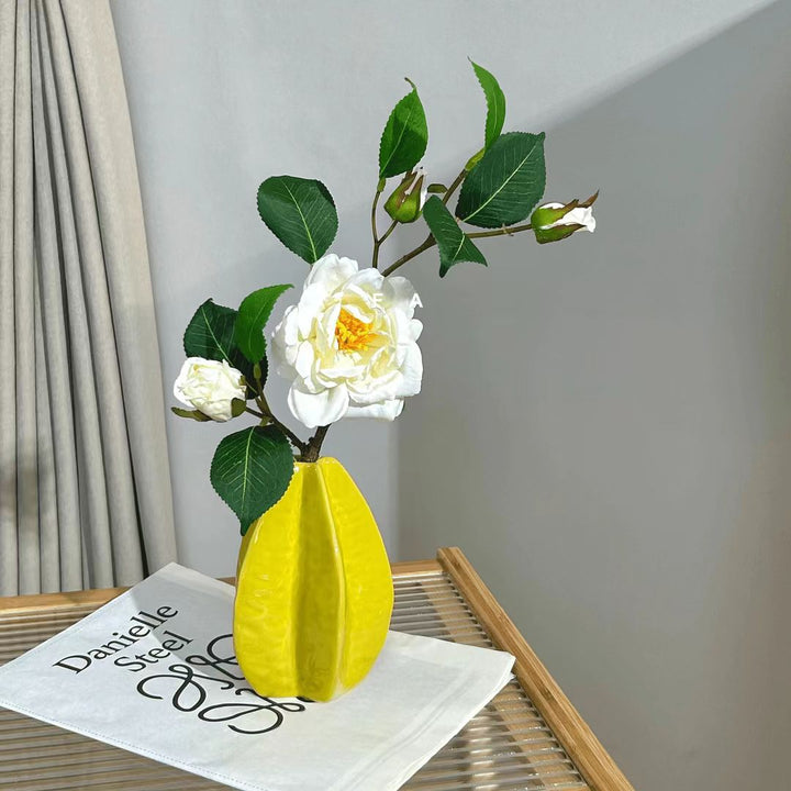 Moderne Decoratieve Ceramic Vaasje