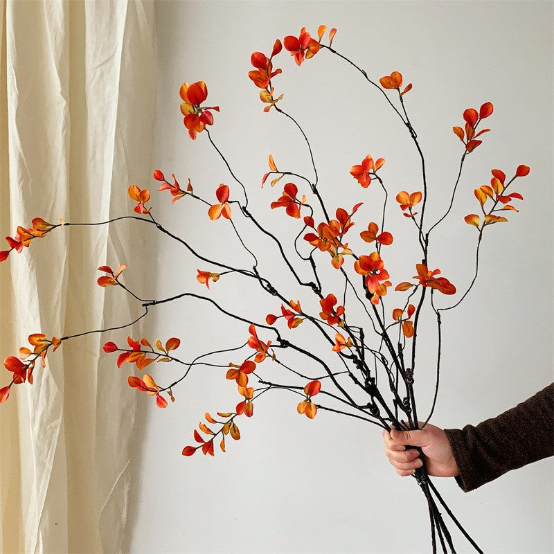 Decoratieve Natuurlijke Takkenarrangement