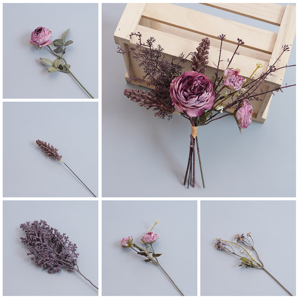 Elegante Gedroogde Botanische Tak