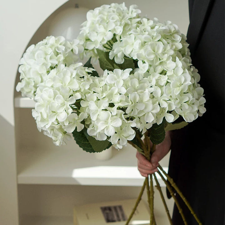 Hortensia Decoratieve Bloem Stem