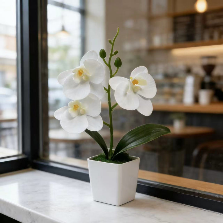 Decoratieve Kunstmatige Orchidee Pot voor Thuisdecoratie Weergave