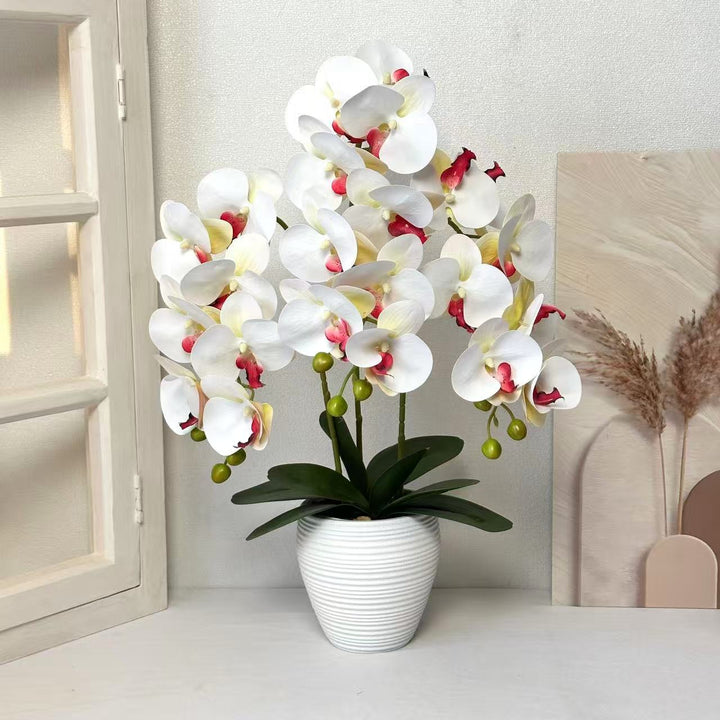 Kunstmatige Orchidee Plant voor Thuisdecoratie Display