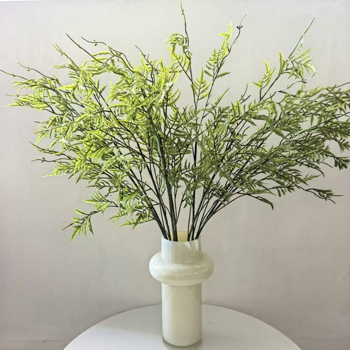 Decoratieve Nepplant