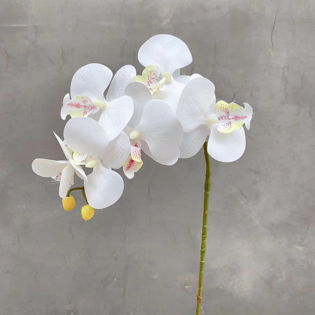 Realistische Kunstmatige Orchidee Stengel