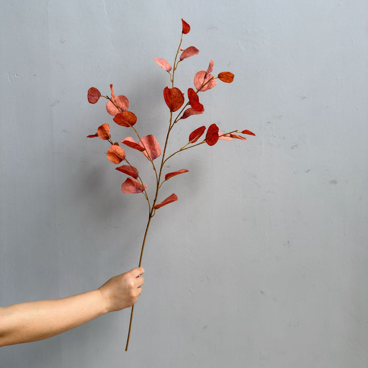 Elegante Decoratieve Eucalyptus Tak