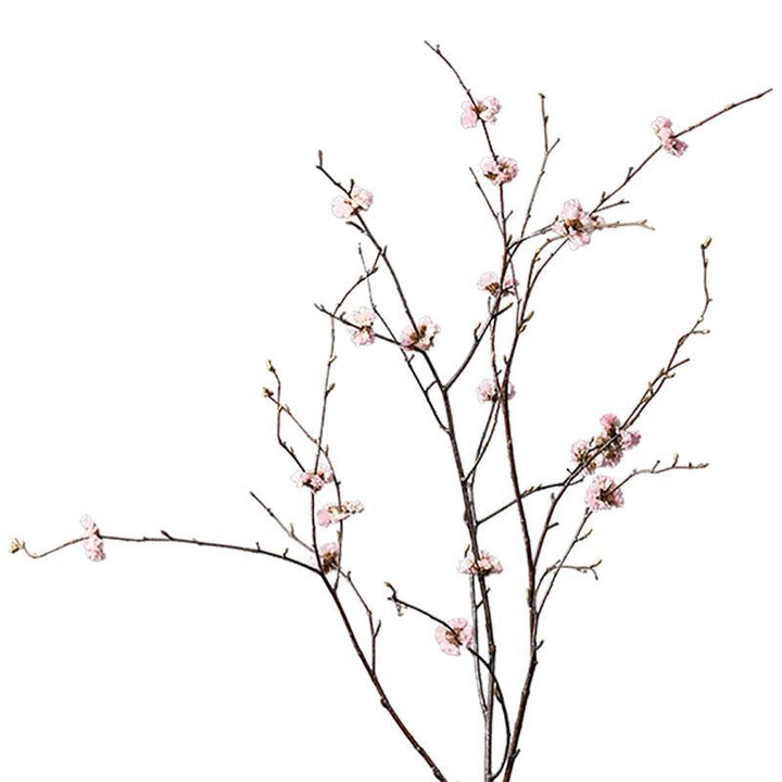 Stijlvolle Gedroogde Bloem Arrangement