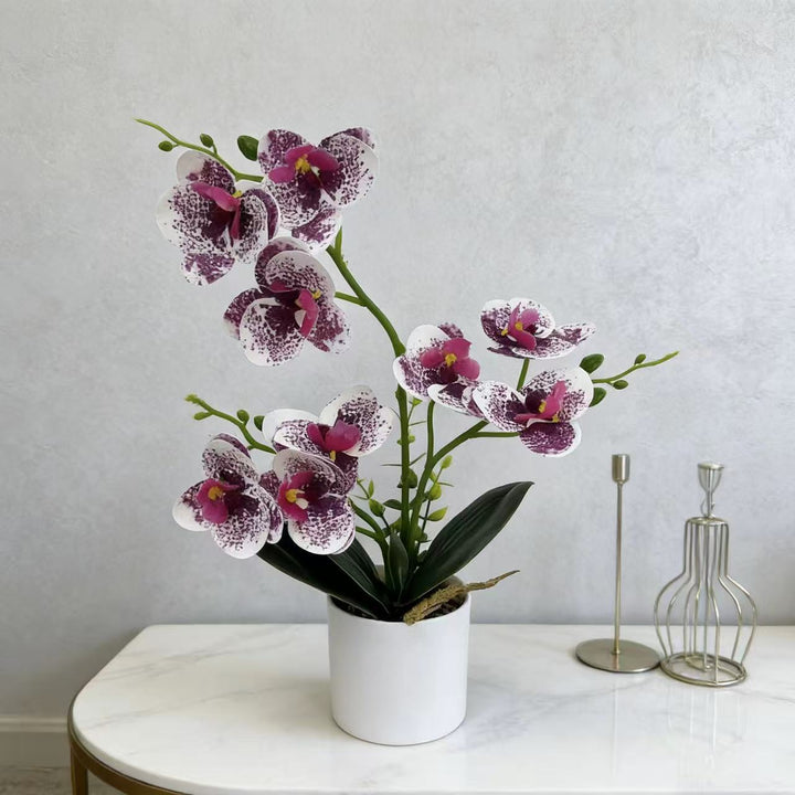 Decoratieve Orchidee voor Hu decoratie Display