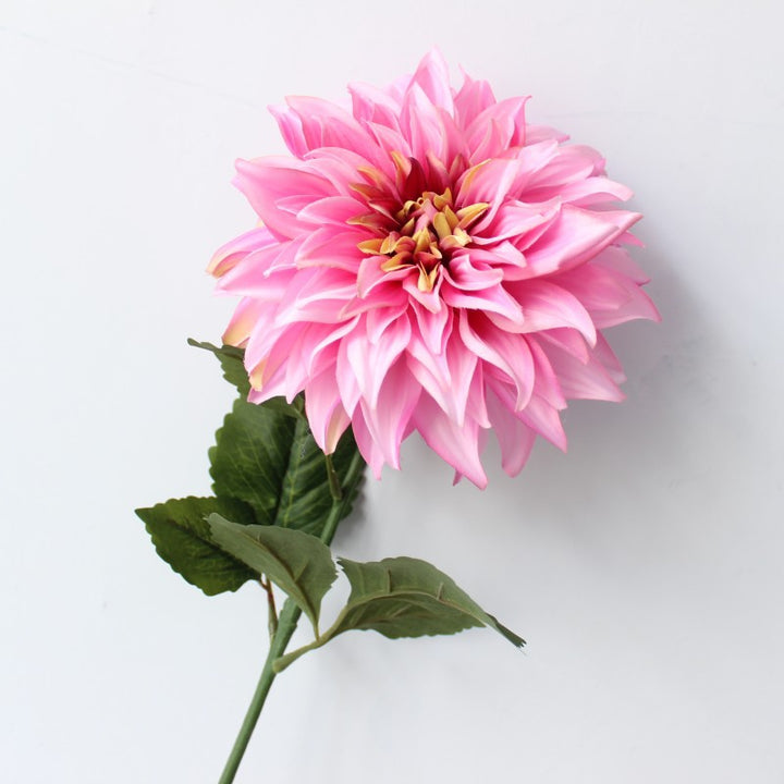 Levensechte Dahlia Bloemsteel