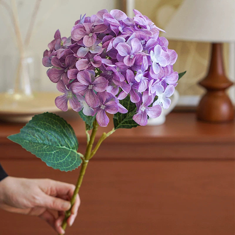 Hortensia Decoratieve Bloem Stem