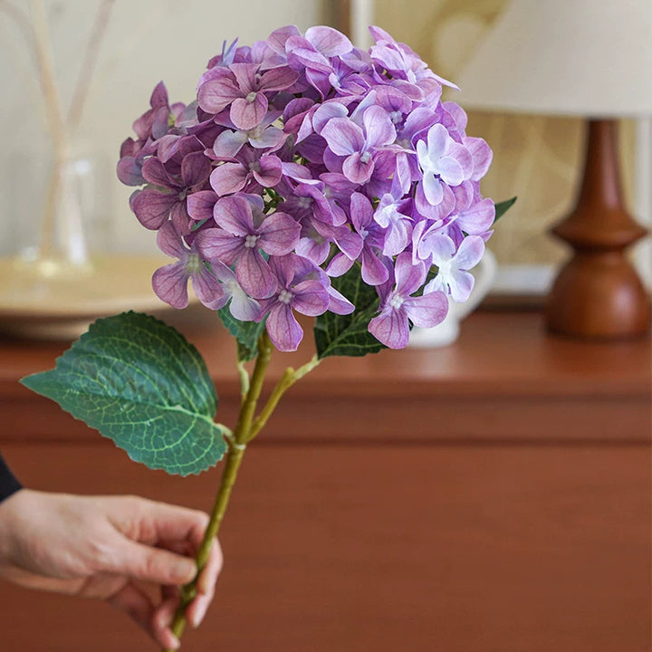 Hortensia Decoratieve Bloem Stem