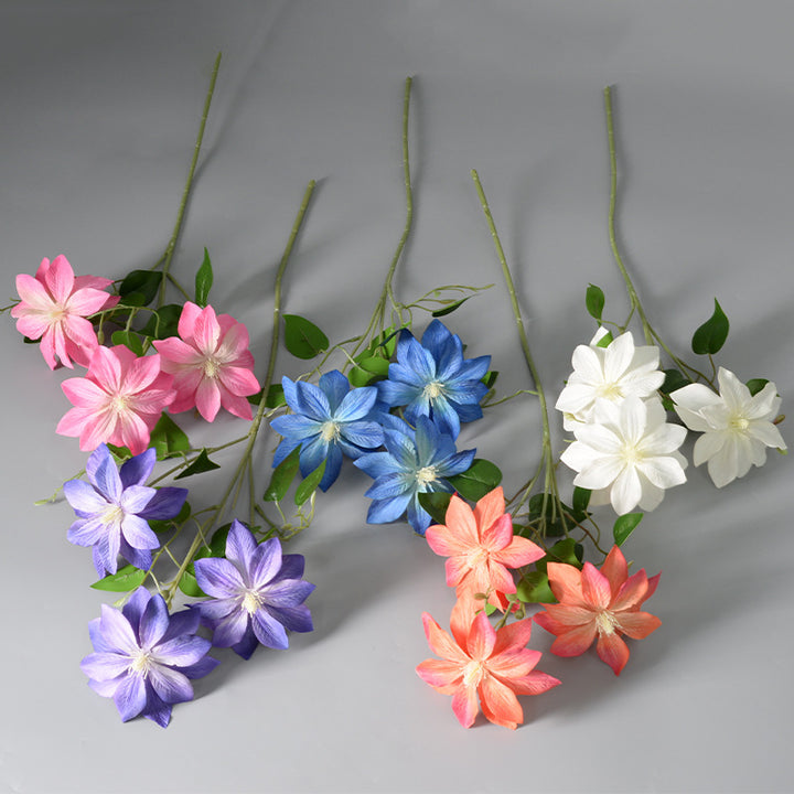 Decoratieve Florale Clematis Stengel