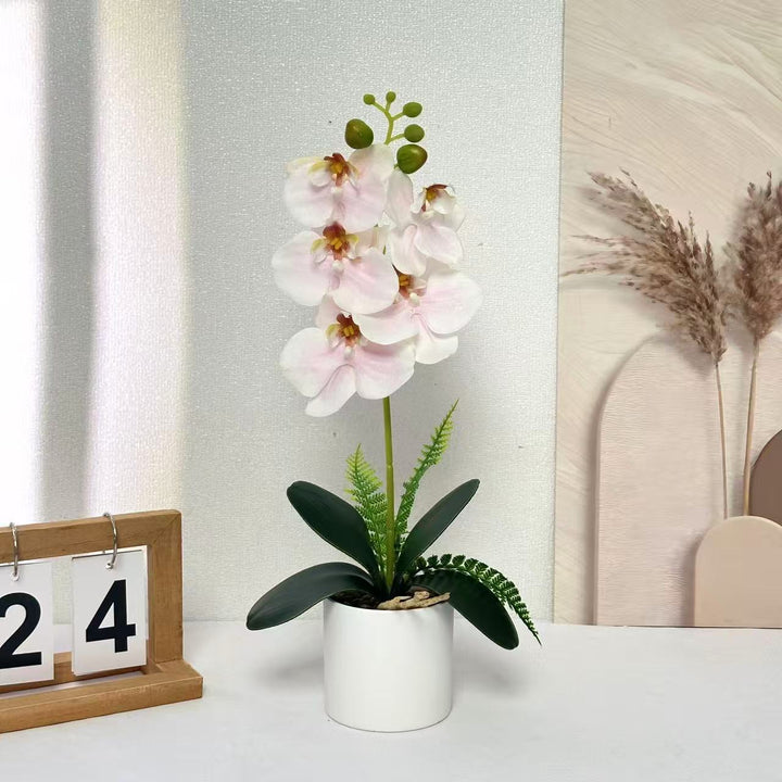 Kunstmatige Orchidee Plant voor Decoratieve Binnenpresentatie