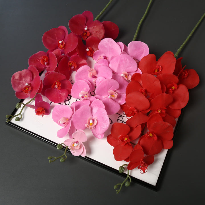 Nepatuur Orchidee Bloemsteel voor Woondecoratie Display