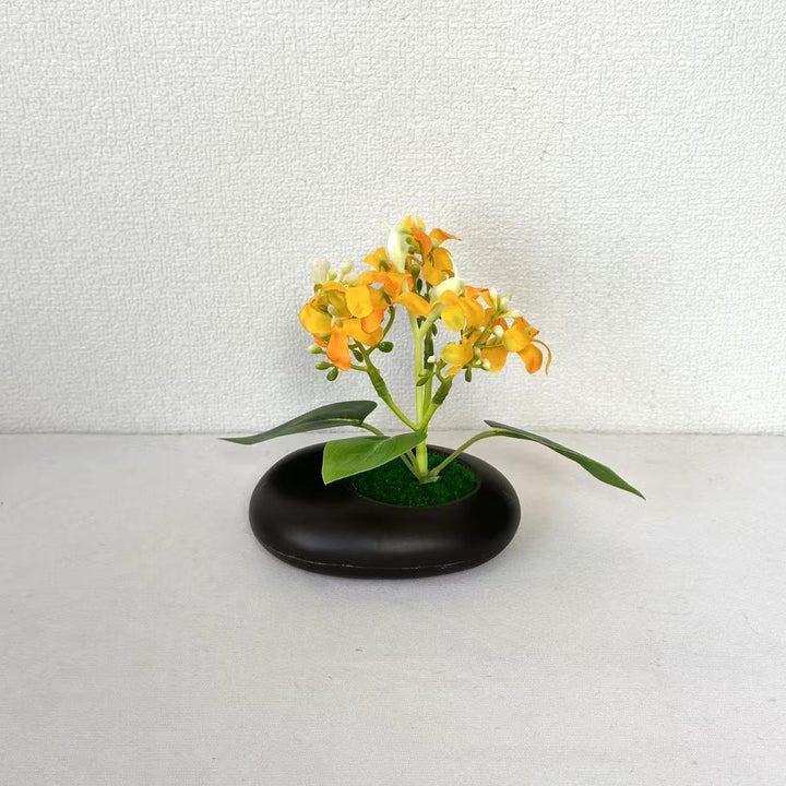 Elegante Decoratieve Potorchidee voor Binnenhuisdecoratie