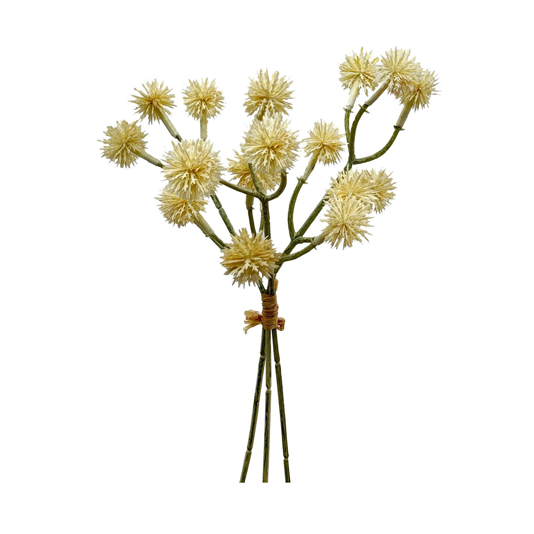 Natuurlijke Decoratieve Bloemstengel