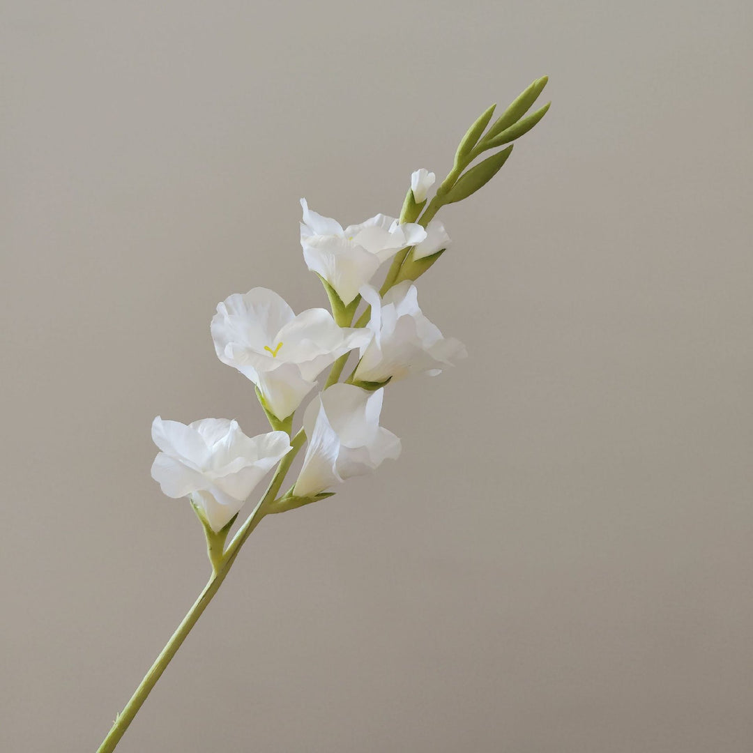 Orchid Bloemen Steel