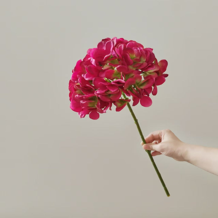 Nep Orchidee Steel