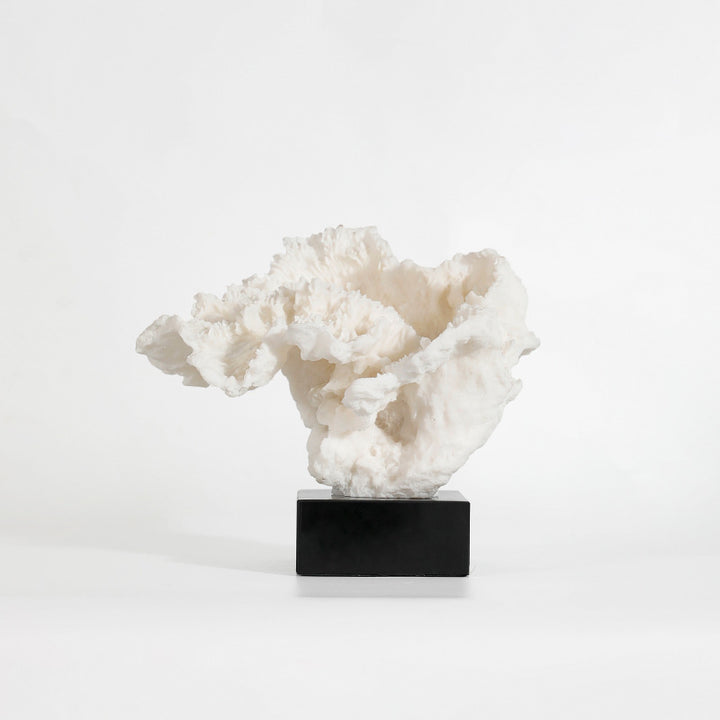 Artistieke Decoratieve Koraal Sculptuur