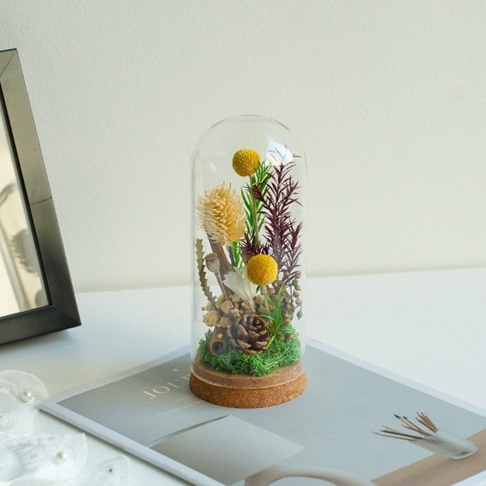 Moderne Decoratieve Bloemen Terrarium
