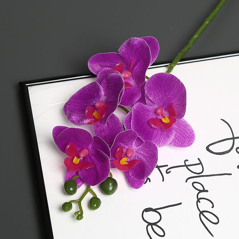 Levensechte Orchidee Bloem Steel