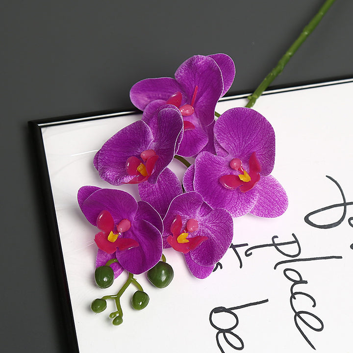 Levensechte Orchidee Bloem Steel