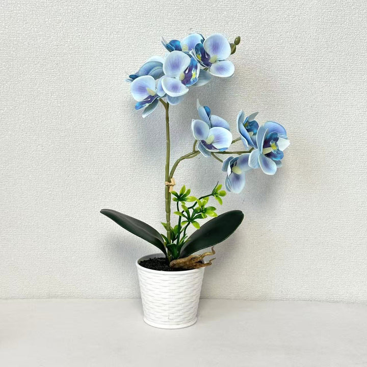 Kunstmatige Orchidee Arrangement voor Decoratieve Binnenweergave