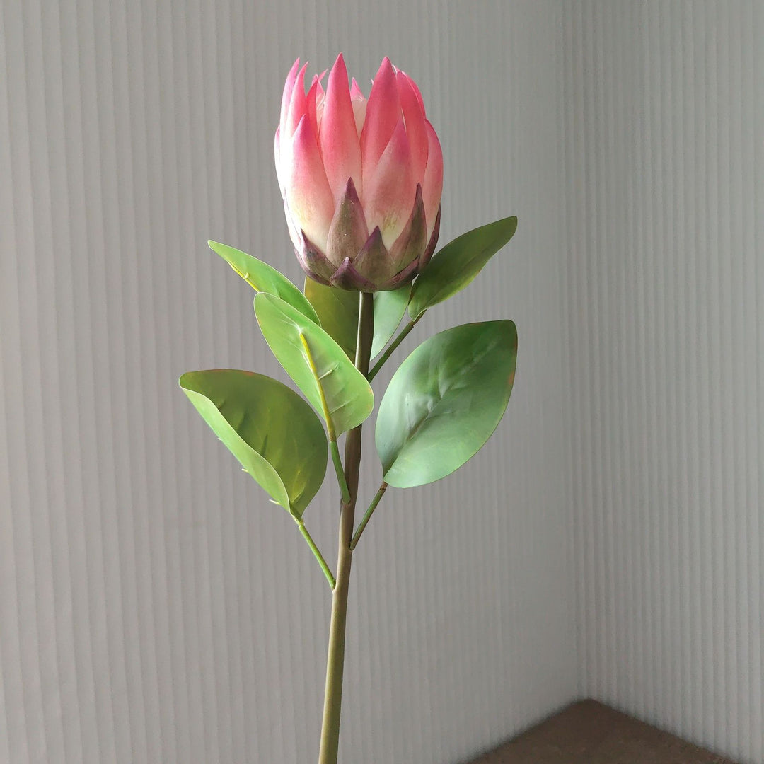 Levensechte Protea Bloem Steel
