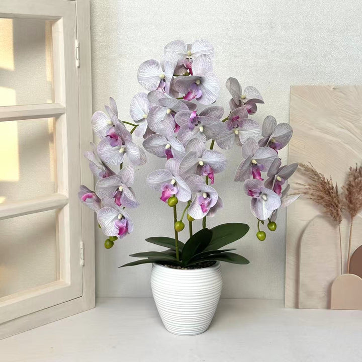 Kunstmatige Orchidee Plant voor Thuisdecoratie Display