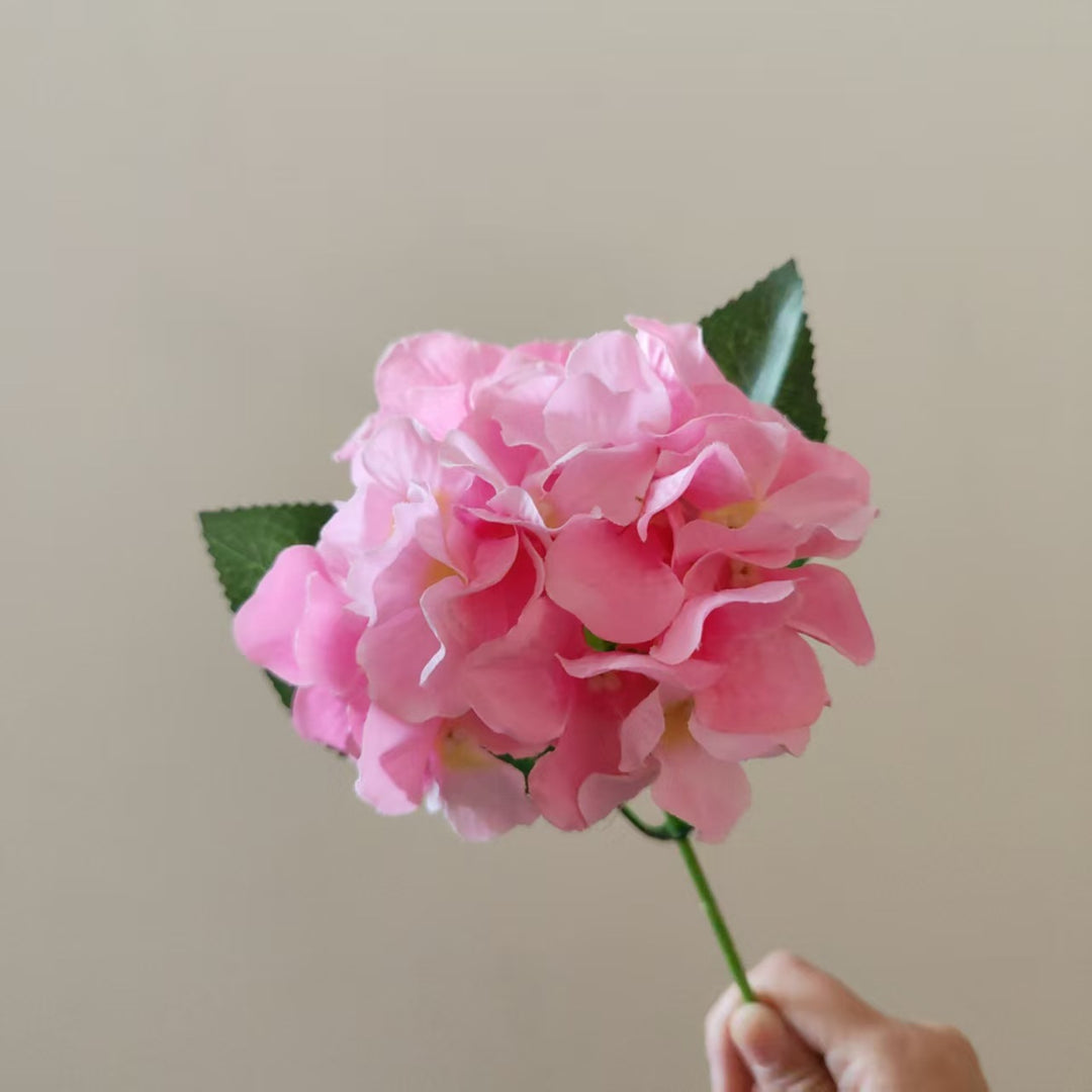 Elegant Nep Hydrangea Steel