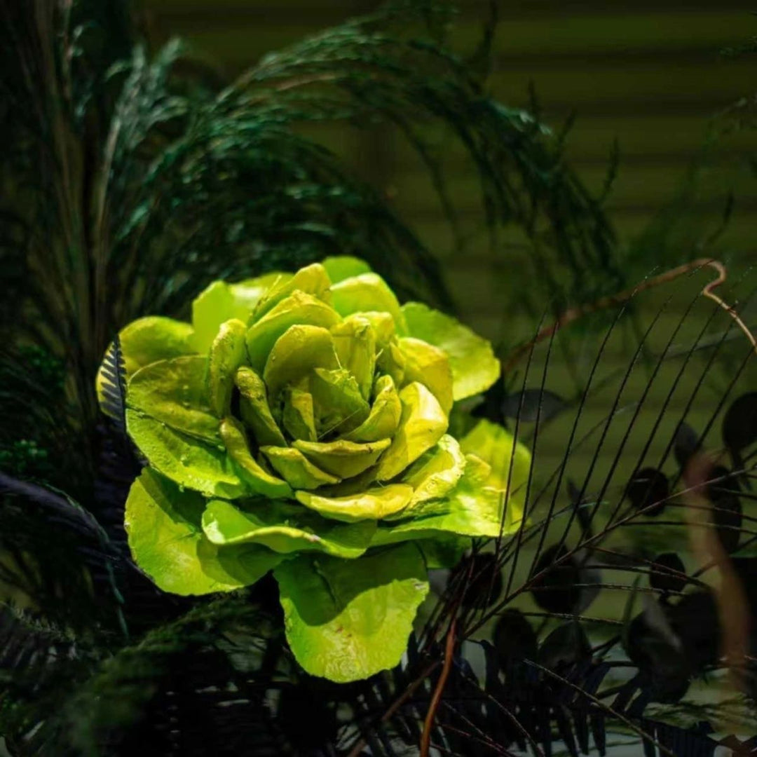 Levensecht Botanisch Middelpunt