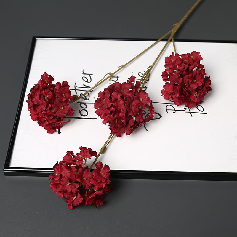Decoratieve Gedroogde Bloemenstengel voor Hu decoration