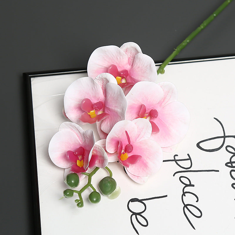 Levensechte Orchidee Bloem Steel