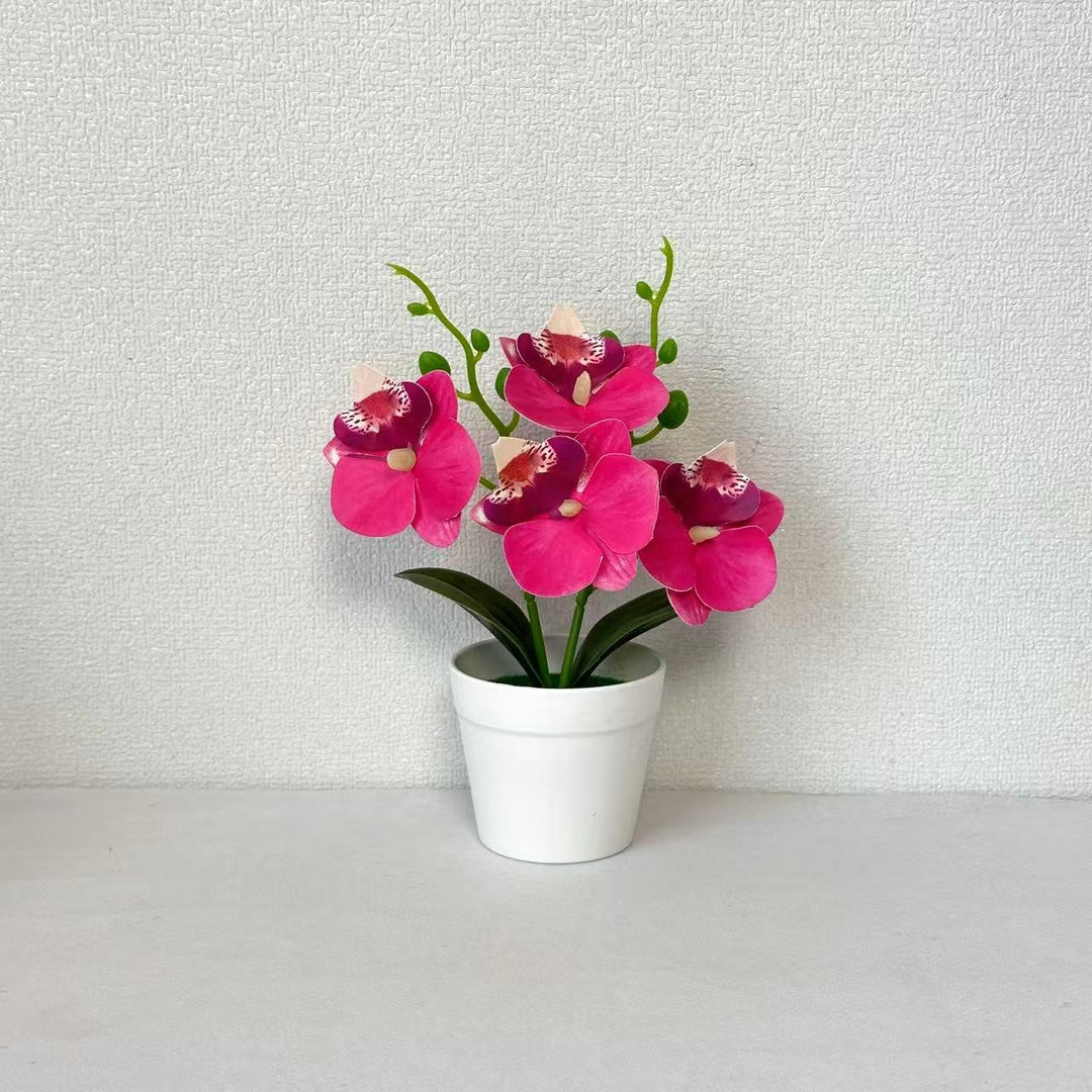 Elegante Decoratieve Orchidee Bloemarrangement voor Huisdecoratie