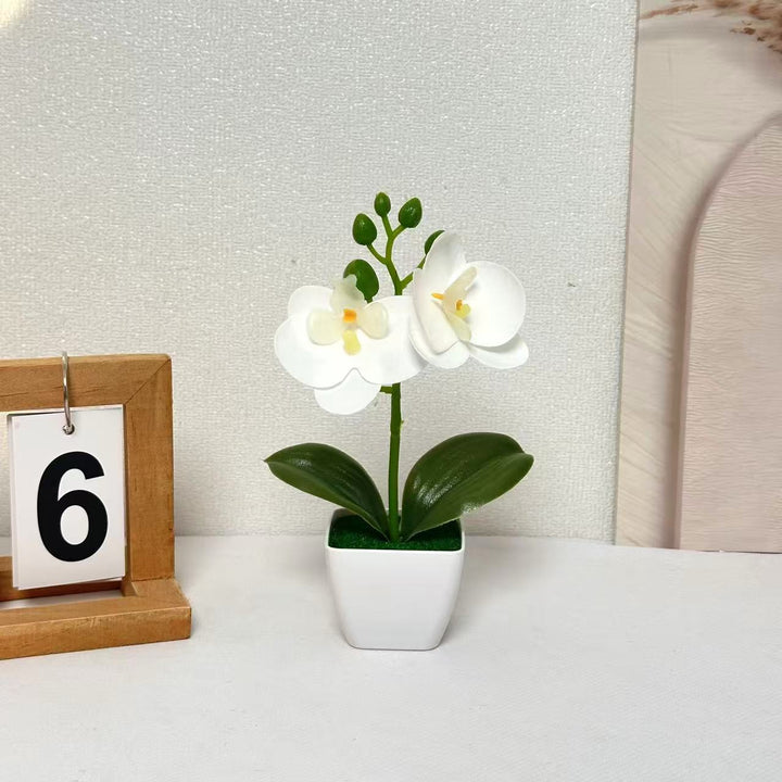 Levensechte Bloemige Orchidee Display voor Binnenhuisdecoratie