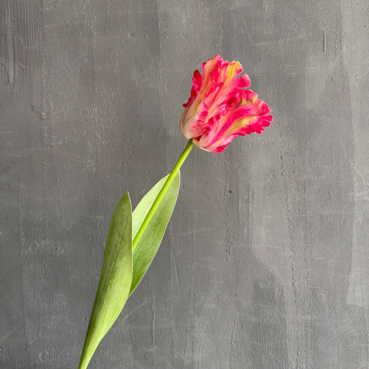 Levensechte Bloem Accent